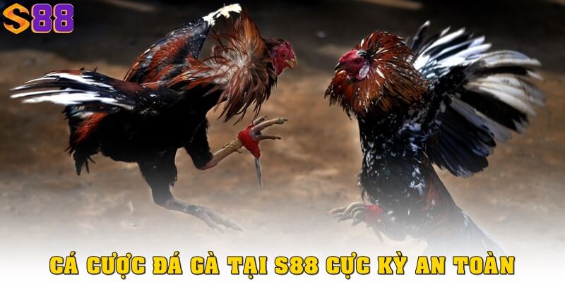 Đá gà S88VIP – Trải nghiệm cá cược nhanh, video chuẩn HD 2 Hệ thống bảo mật đa lớp rất an toàn ở đá gà S88