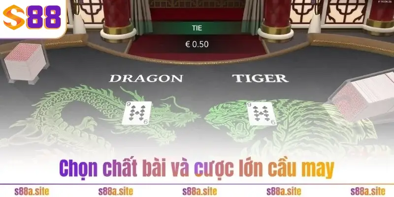 Rồng Hổ S88VIP – Game bài tư duy, kiếm tiền tỷ siêu dễ 4 Chọn chất bài và cược lớn cầu may