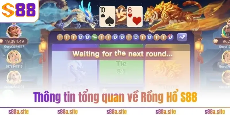 Rồng Hổ S88VIP – Game bài tư duy, kiếm tiền tỷ siêu dễ 1 Thông tin tổng quan về Rồng Hổ S88VIP
