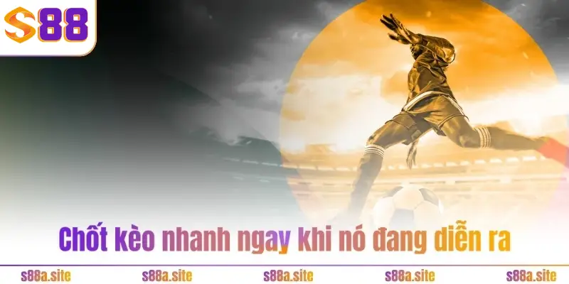 SBOBET thể thao S88VIP - Xanh chín 24/24 và rinh tiền tỷ 4 Tỷ lệ kèo thơm cao, có nhiều triển vọng